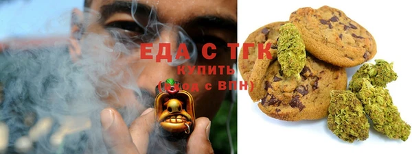 прущие грибы Надым