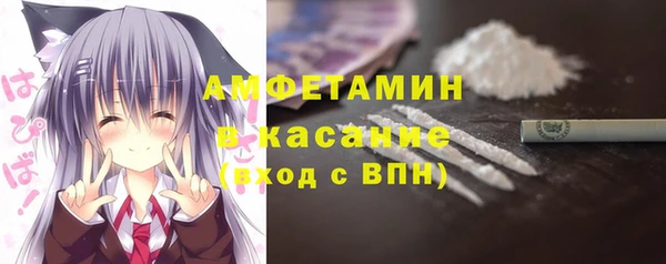 прущие грибы Надым