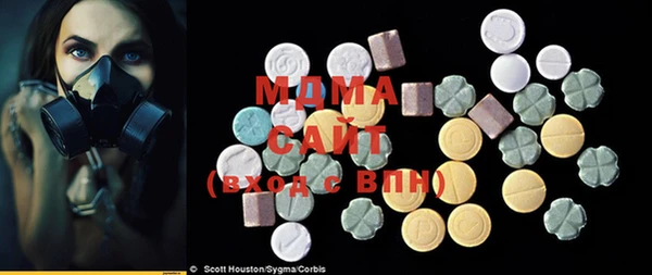 прущие грибы Надым