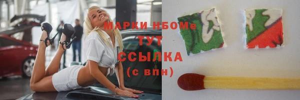 прущие грибы Надым