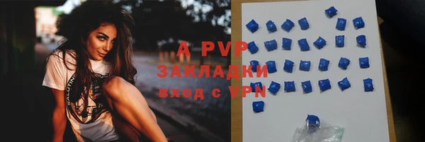 прущие грибы Надым