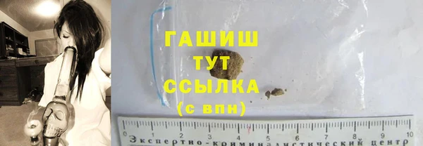 прущие грибы Надым