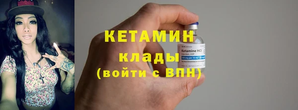 прущие грибы Надым