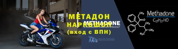 прущие грибы Надым