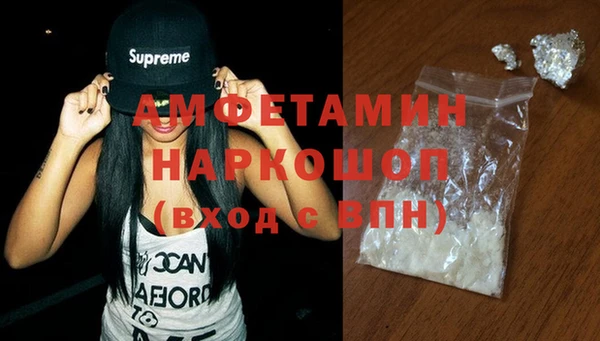 прущие грибы Надым