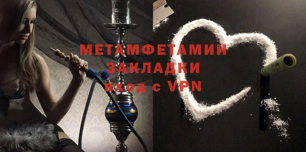 прущие грибы Надым