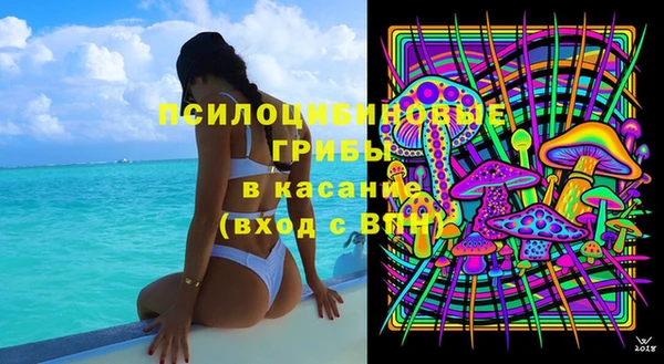 прущие грибы Надым