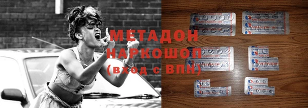 прущие грибы Надым