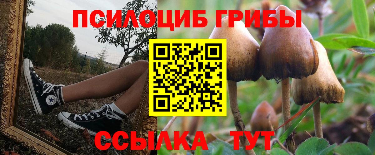 Галлюциногенные грибы Magic Shrooms  дарнет шоп  Электросталь 