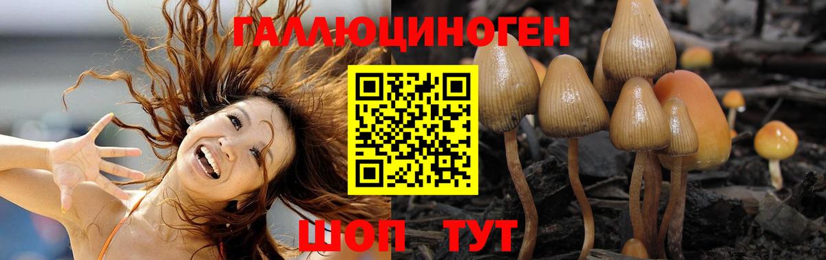 Псилоцибиновые грибы прущие грибы Электросталь