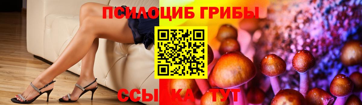 Электросталь  Галлюциногенные грибы Psilocybe  Вход с VPN  Псилоцибиновые грибы Psilocybe 